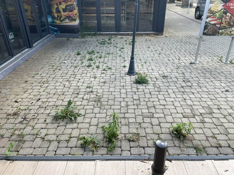 Referencia munka – Éttermek, szállodák, vendéglátás